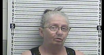 DEBORAH K HARRIS | 2019-11-18 08:49:00 Casey County, Kentucky Booking