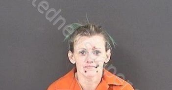 ROCK, JESSICA NICOLE | 2019-11-18 14:37:00 Roanoke County, Virginia Booking