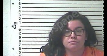 JESSICA NICOLE MCARTHUR | 2019-11-18 11:45:00 Hardin County, Kentucky Booking