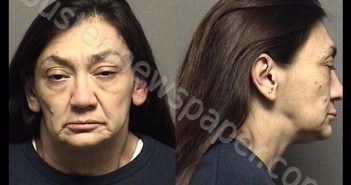 WHEELER,REBECCA LYN | 2019-11-19 00:53:00 Saline County, Kansas Booking