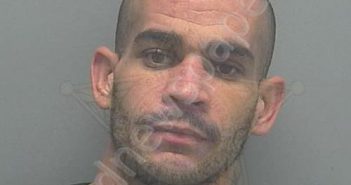 <B>PAGAN</B>–<B>RIVERA</B>, <B>EMMANUEL</B> #, Lee County, Florida - 2019-11-19 15:04:00