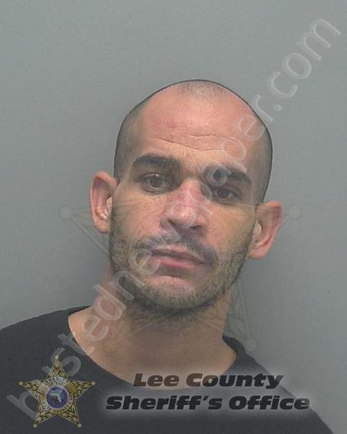 PAGAN-RIVERA, EMMANUEL #, Lee County, Florida - 2019-11-19 15:04:00