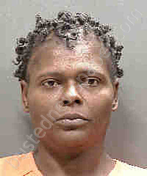 MCKAY-MILLS, CHASITY #, Sarasota County, Florida - 2019-11-20