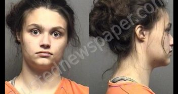 DIRKSEN,DESTANY MARIE | 2019-11-20 10:35:00 Saline County, Kansas Booking