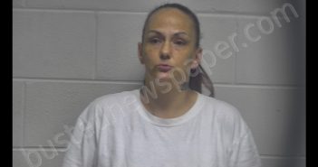 MICHELLE YVETTE DAVIS | 2019-11-20 16:51:00 Oldham County, Kentucky Booking