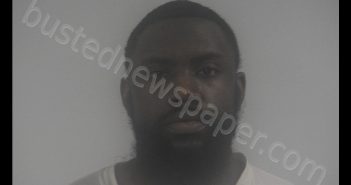 DESHAWN LAMAR JONES | 2019-11-20 16:40:00 Western Tidewater, Virginia Booking