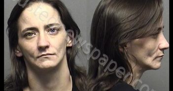 DILORENZO,MARTHA ANN | 2019-11-20 00:10:00 Saline County, Kansas Booking