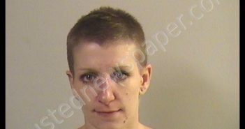 JEPSON, CAITLYN MARIE | 2019-11-20 17:47:00 Dickinson County, Kansas Booking