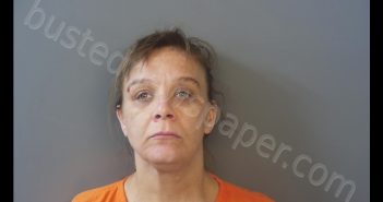 LISA MARIA NICHOLAS | 2019-11-21 09:36:00 Hendricks County, Indiana Booking