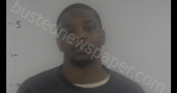 TEVIN DEANGELO PALMER | 2019-11-21 13:40:00 Western Tidewater, Virginia Booking