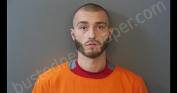 JARRET MICHAEL DASS | 2019-11-21 15:17:00 Hendricks County, Indiana Booking