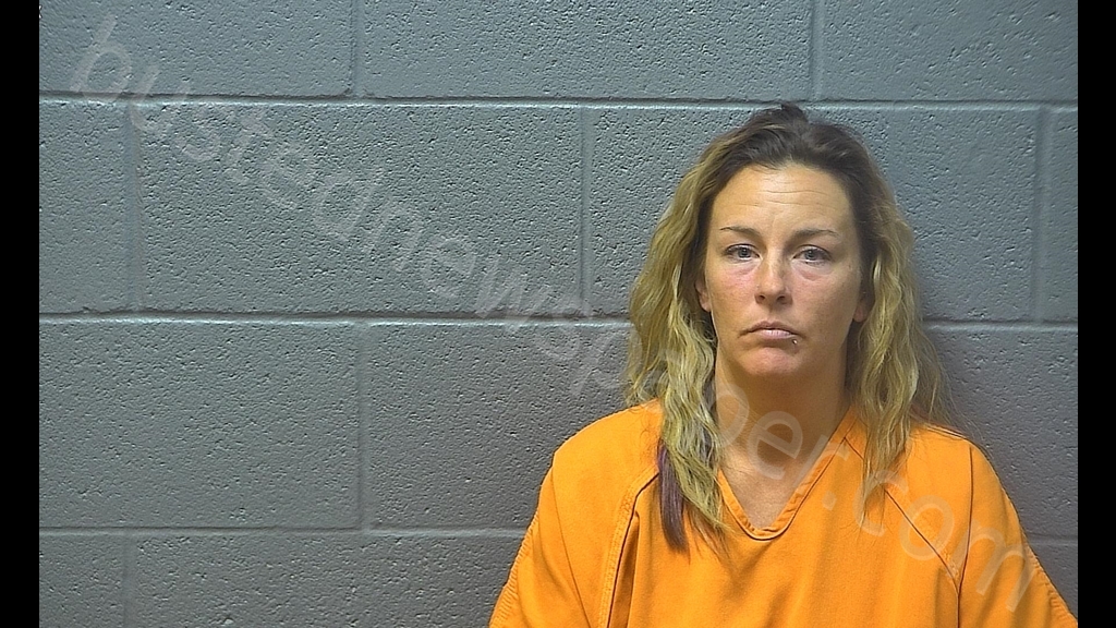 Shannon Marie Chappell Mugshot | 2019-11-21 21:31:00 Rsw Regional Jail ...