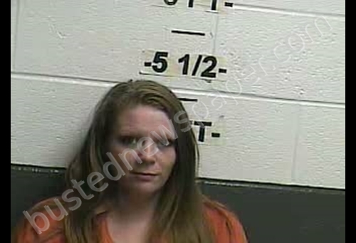 AMY MARIE SAWYERS #, Whitley County, Kentucky - 2019-11-21 23:04:00