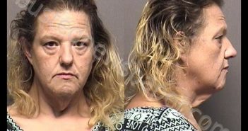 POWELL,LISSA MICHELLE | 2019-11-21 09:30:00 Saline County, Kansas Booking