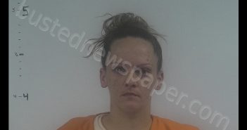 ASHLEY COURTNEY SHERRILL | 2019-11-21 14:05:00 Western Tidewater, Virginia Booking