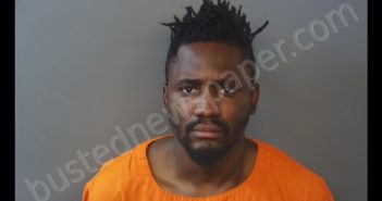 AYEDUN SUNE DAMILOLA | 2019-11-21 18:45:00 Hendricks County, Indiana Booking