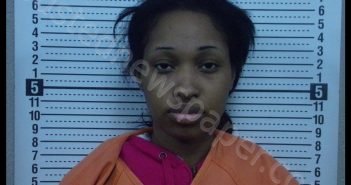 RAVEN S SULLIVAN | 2019-11-22 09:25:00 Scott County, Missouri Booking