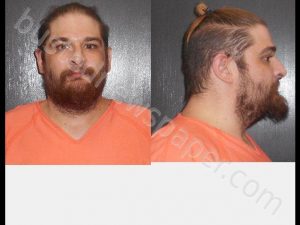 PIERCE, DANIEL CARL | 2019-11-23 16:51:00 Madison County, Indiana Booking