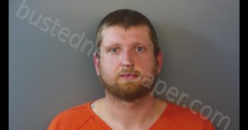 BRANDON STEVEN GOSNELL | 2019-11-23 00:18:00 Hendricks County, Indiana Booking