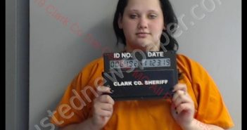 SHAYLA MARIE ANDERSON | 2019-11-23 14:57:00 Clark County, Missouri Booking