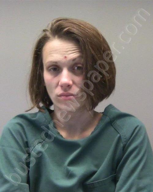 REED, DANIELLE RENEE #, Montgomery County, Ohio - 2019-11-24 18:00:00