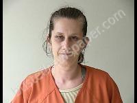 TRUELOVE HEATHER MICHELLE | 2019-11-24 Gratiot County, Michigan Booking