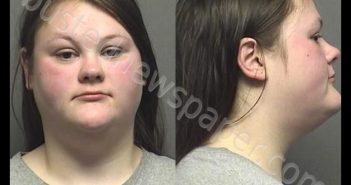 VANPELT,RACHEL ANN | 2019-11-24 13:55:00 Saline County, Kansas Booking