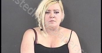 PENCE, MELANIE NICOLE | 2019-11-25 02:35:00 Roanoke County, Virginia Booking