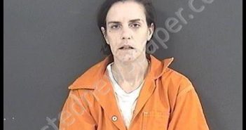MARTIN, ERIN REYNARD | 2019-11-26 20:23:00 Roanoke County, Virginia Booking