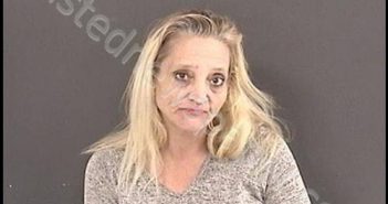 DALTON, STEPHANIE FAYE | 2019-11-26 19:42:00 Roanoke County, Virginia Booking