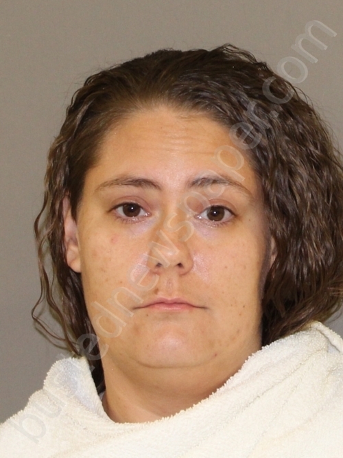 NORRIS, JESSICA NICOLE #, Denton County, Texas - 2019-11-27
