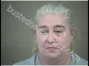 SURFASS, CHRISTINA | 2019-11-27 Harnett County, North Carolina Booking