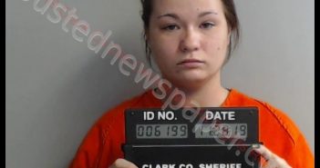 NATASHA LYNN GIBSON | 2019-11-28 11:12:00 Clark County, Missouri Booking