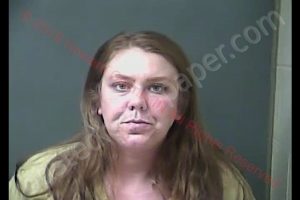 KELLY ANN HOPKINS | 2019-11-28 04:29:33 Howard County, Indiana Booking