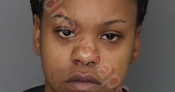 DOMINIQUE MICHELE WILLIAMSON | 2019-11-28 00:28:00 Anderson County, South Carolina Booking