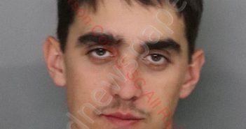 DRASON BLAKE ULDRICK | 2019-11-28 22:45:00 Anderson County, South Carolina Booking