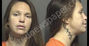 PETERSON,NICOLE MARIE | 2019-11-29 09:48:00 Saline County, Kansas Booking