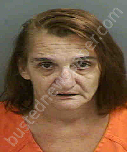 FISCHER,LIDWINA CHRISTINA #, Collier County, Florida - 2019-11-30