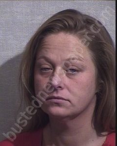 JUANITA MICHELLE WHITE | 2019-12-01 06:58:00 Jackson County, Indiana Booking