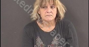 BROWN, LADONNA LYNN | 2019-12-01 02:52:00 Roanoke County, Virginia Booking