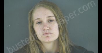 CHELSEA ELAINE FRANCISCO | 2019-12-03 14:13:00 Blue Ridge Regional Jail, Virginia Booking
