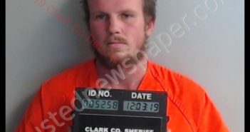 PETER ANTHONY PULLINS | 2019-12-03 11:21:00 Clark County, Missouri Booking