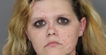 CYNTHIA <B>MEGAN</B> DYAR #, <b>Anderson</b> County, South Carolina, Anderson County, South Carolina - 2019-12-03 16:59:00