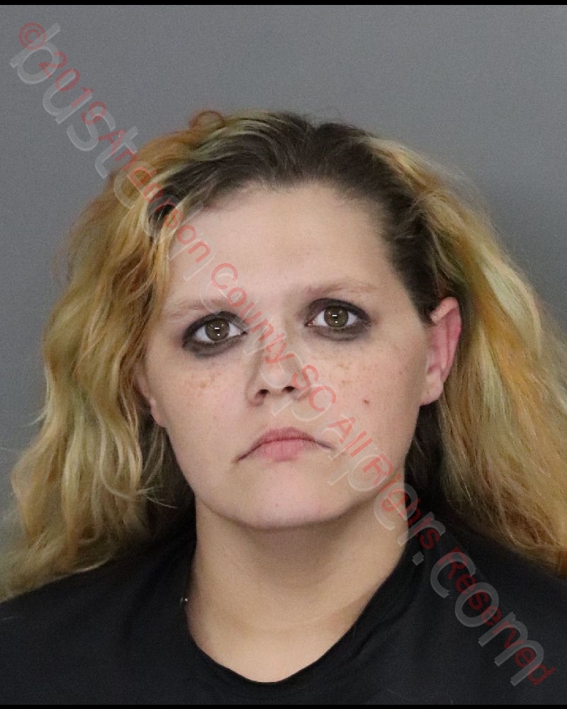 CYNTHIA MEGAN DYAR #, Anderson County, South Carolina - 2019-12-03 16:59:00
