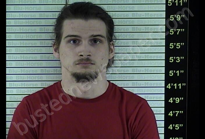 COLE, ADAM MICHAEL #, Graves County, Kentucky - 2019-12-04 18:01:00