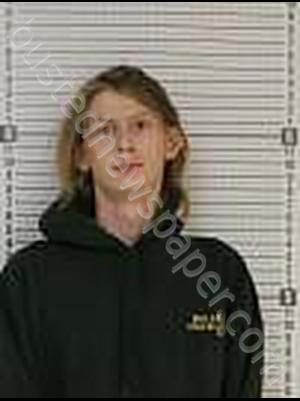 WALKER, AARON MICHEAL #, Williams County, North Dakota - 2019-12-04