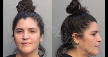 PAJON-REMOS, BARBARA LAZARITA | 2019-12-05 11:35:00 Miami-Dade County, Florida Booking