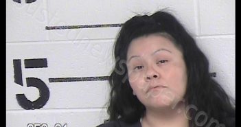 LEWIS, LEANN RUTH | 2019-12-05 12:50:00 Chase County, Kansas Booking