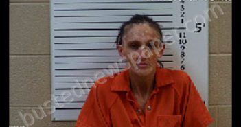 RICH, TONYA LOUISE | 2019-12-05 15:45:00 Cherokee County, North Carolina Booking