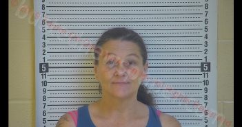 DIANA D HINES | 2019-12-05 13:27:00 Taylor County, Kentucky Booking